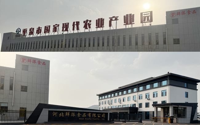 鮮切脆薯?xiàng)l經(jīng)典案例：河北鮮派生產(chǎn)線現(xiàn)場